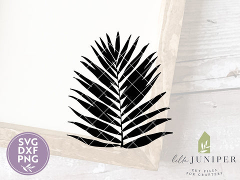 Tropical Leaf SVG | Botanical SVG | Farmhouse Sign Design SVG LilleJuniper 