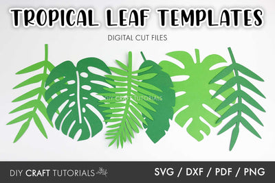 Tropical Leaf SVG Template SVG DIY Craft Tutorials 