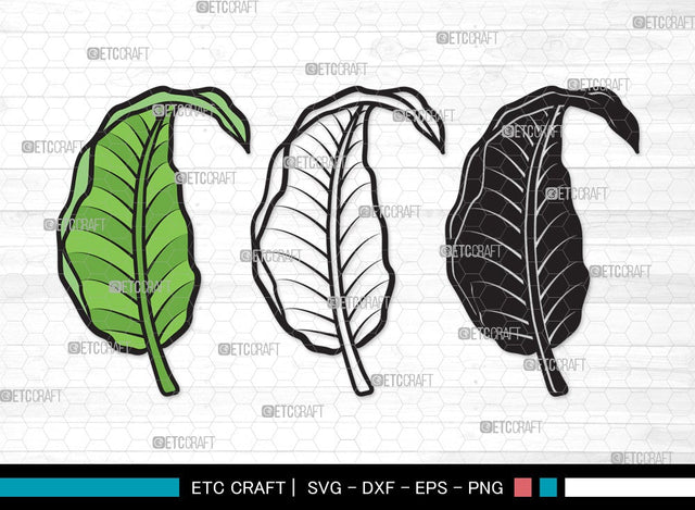 Tropical Leaf SVG | Tropical Leaves Svg | Monstera Leaf Svg | Palm Leaf Vector Cutting files | Tropical Leaf Clipart SVG ETC Craft 