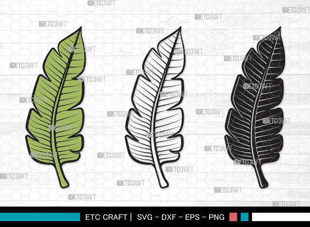 Tropical Leaf SVG | Tropical Leaves Svg | Monstera Leaf Svg | Palm Leaf Vector Cutting files | Tropical Leaf Clipart SVG ETC Craft 