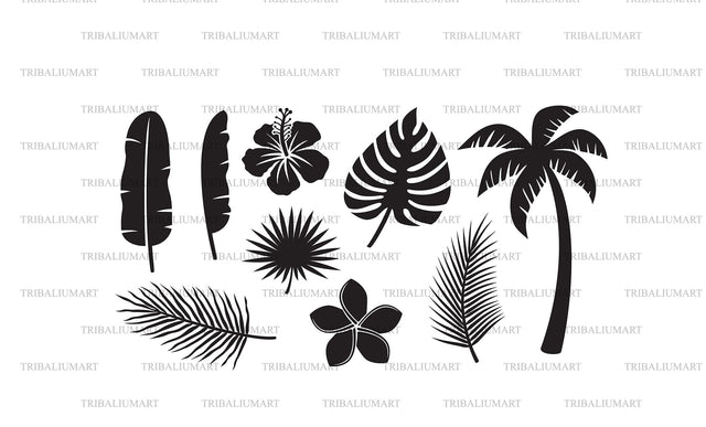 Tropical leaves, flowers and plants SVG TribaliumArtSF 