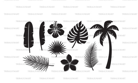 Tropical leaves, flowers and plants SVG TribaliumArtSF 