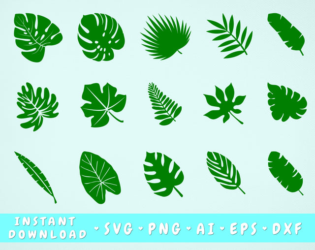 Tropical Leaves SVG Bundle - 15 Designs, Monstera Leaf SVG, Banana Leaf SVG, Palm Leaf SVG SVG HappyDesignStudio 