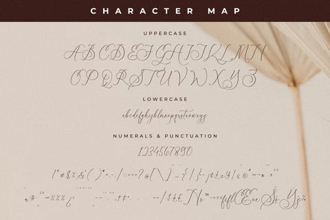 Tropical Qebalon Font Duo Font Storytype Studio 