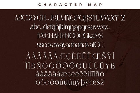 Tropical Qebalon Font Duo Font Storytype Studio 