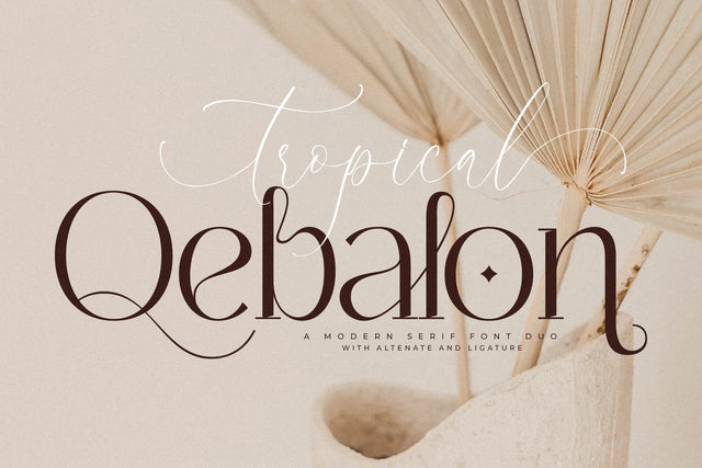 Tropical Qebalon Font Duo Font Storytype Studio 