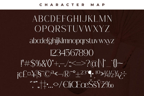 Tropical Qebalon Font Duo Font Storytype Studio 