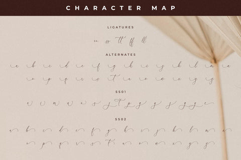 Tropical Qebalon Font Duo Font Storytype Studio 