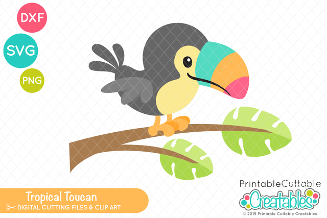 Tropical Toucan SVG SVG Printable Cuttable Creatables 