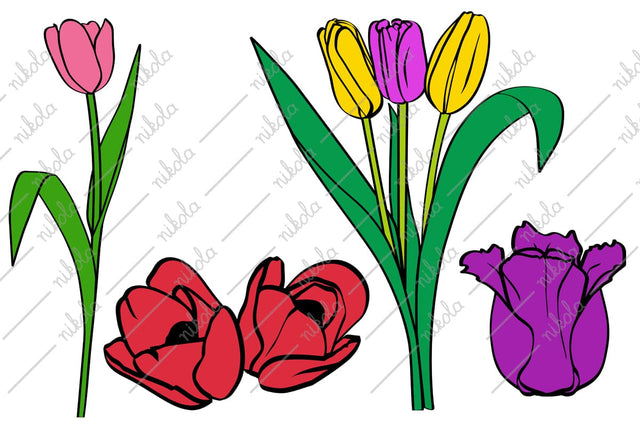 Tulip Clipart Cut File PNG SVG EPS DXF PDF SVG nikola 