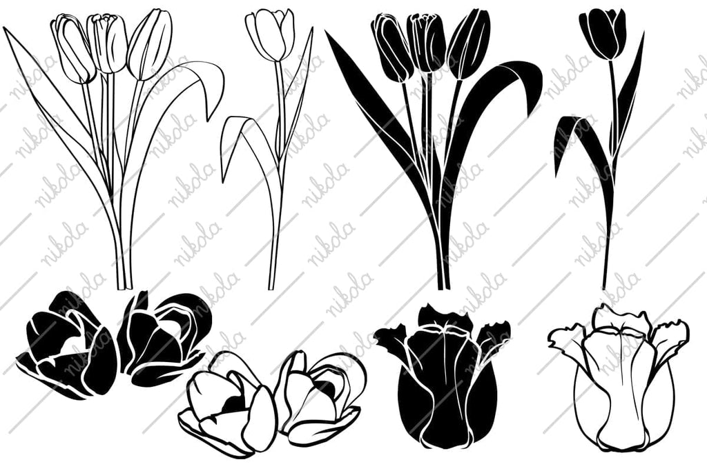 Tulip Clipart Cut File PNG SVG EPS DXF PDF - So Fontsy