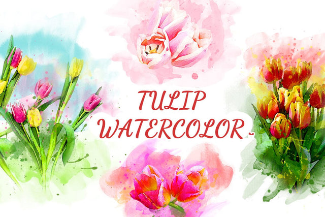 Tulip Floral Watercolor Sublimation Clipart PNG Sublimation nikola 