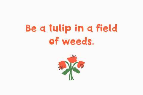 Tulips Font Cotton White Studio 