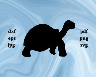 Turtle SVG Cut File SVG Northern Light SVG 