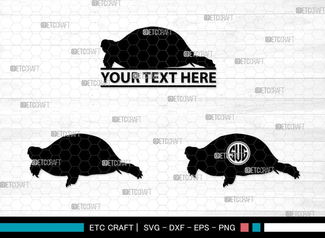 Turtles Monogram, Turtle Silhouette, Turtle SVG, Aquatic Turtle Svg, Sea Turtle Svg, Tortoise Svg, Aquatic Animal Svg, SB00330 SVG ETC Craft 