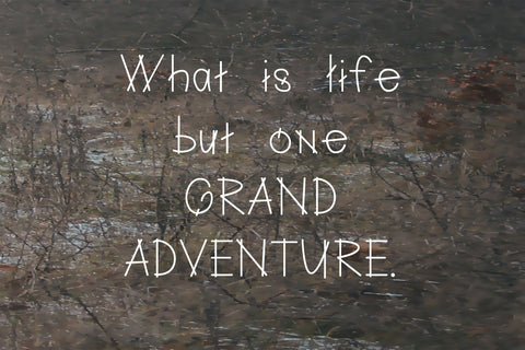 Twigs: A Branchy Font Font Cheese Toast Digitals