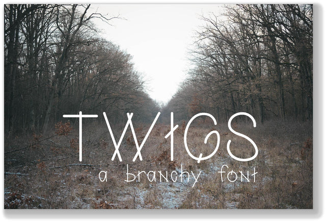 Twigs: A Branchy Font Font Cheese Toast Digitals