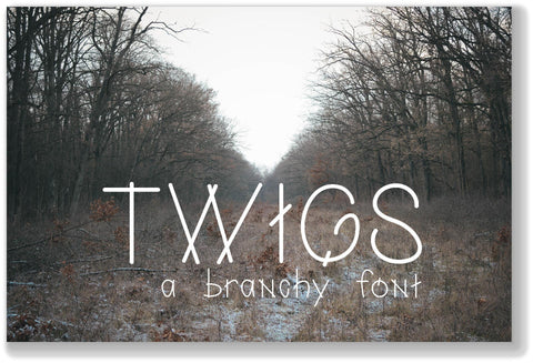 Twigs: A Branchy Font Font Cheese Toast Digitals