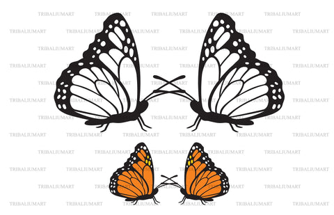 Two butterflies SVG TribaliumArtSF 