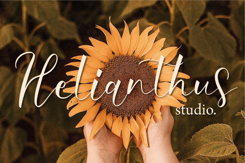 Type Dream Font Forberas 