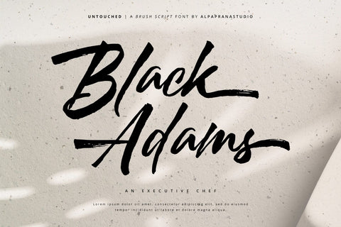 Untouched - Brush Script Font Font Alpaprana Studio 