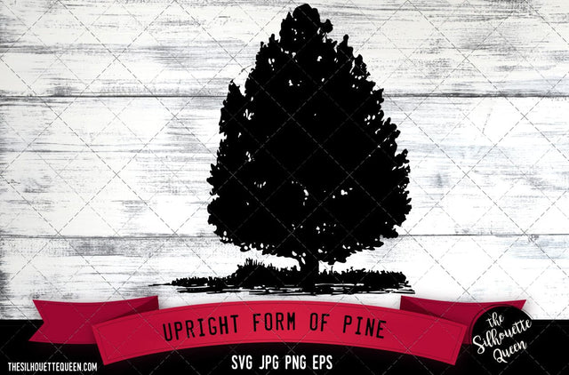Upright form of Pine SVG -Vector Art Commercial & Personal Use- Cricut,Silhouette,Cameo,Vinyl Cut SVG Loveleen Kaur 