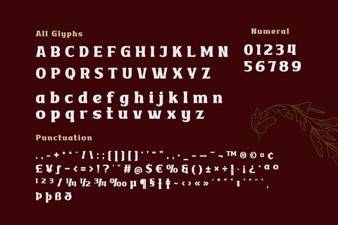 VAKOZI | Serif Classic Modernism Font twinletter 