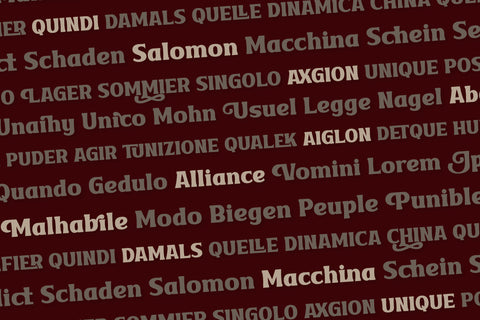 VAKOZI | Serif Classic Modernism Font twinletter 