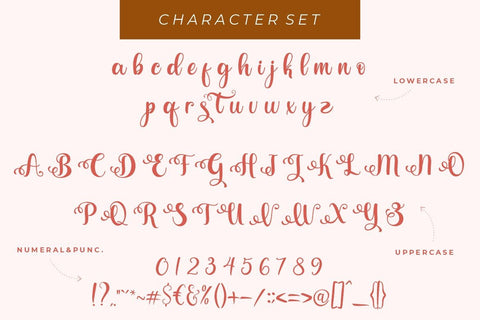 Valentina Font Hans Co 