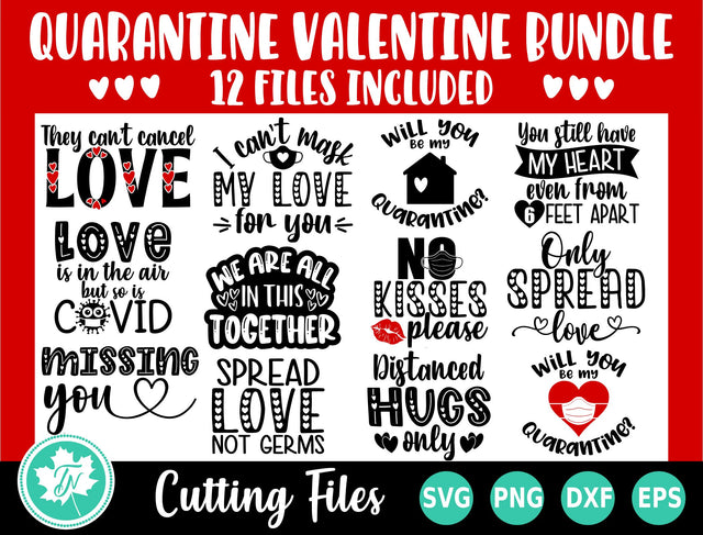 Valentine SVG Bundle SVG | Quarantine SVG Bundle SVG TrueNorthImagesCA 