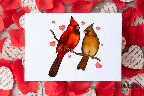 Valentine's Day Cat Cardinal Love PNG Design Sublimation Owlsome.Designs 