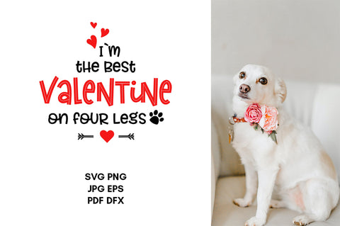 Valentine's Day Dog Bandana svg, Dog valentine svg png, pet valentines day, dog valentine quotes, dog svg files for cricut SVG Katharina 