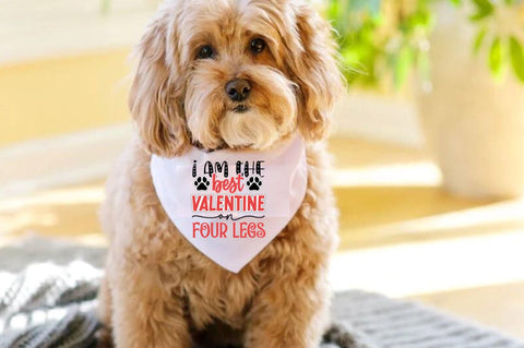 Valentines Day Dog SVG Bundle SVG DESIGNISTIC 
