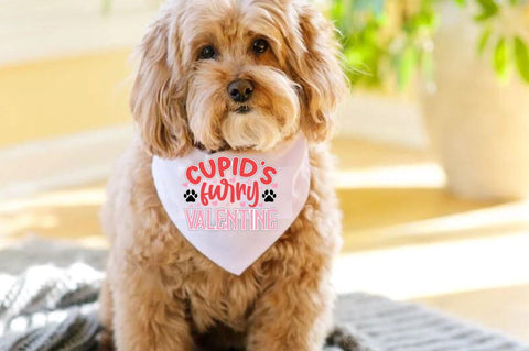 Valentines Day Dog SVG Bundle SVG DESIGNISTIC 