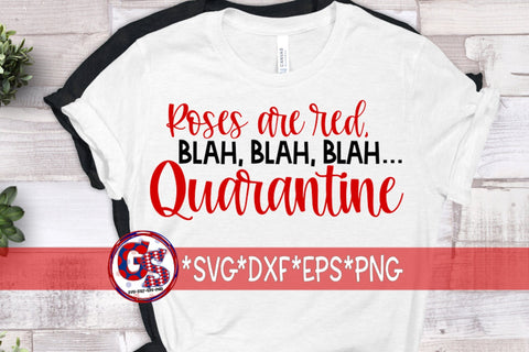 Valentine's Day Quarantine Bundle SVG DXF EPS PNG SVG Greedy Stitches 