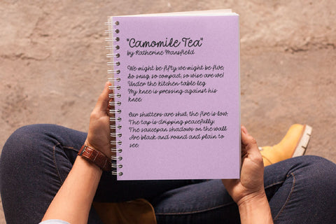 Valentine's Day Script Font FontDuo 