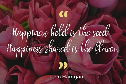 Valentinoa Font Madatype Studio 