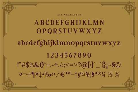 Valneck Typeface Font Storytype Studio 