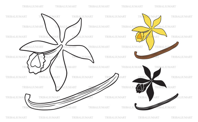 Vanilla flower and sticks SVG TribaliumArtSF 