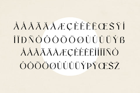 VASQUZ Typeface Font Storytype Studio 