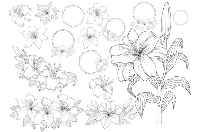 Vector Outline Lily Floral Frames SVG Yuliya 