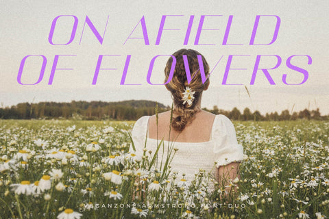 Veganzone Armstrong Font Duo Font Storytype Studio 