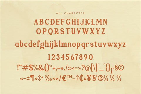 Vejlikan Typeface Font Storytype Studio 