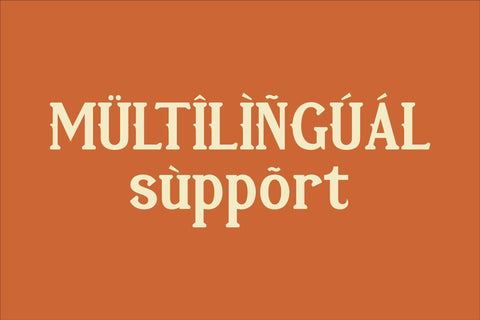 Vejlikan Typeface Font Storytype Studio 