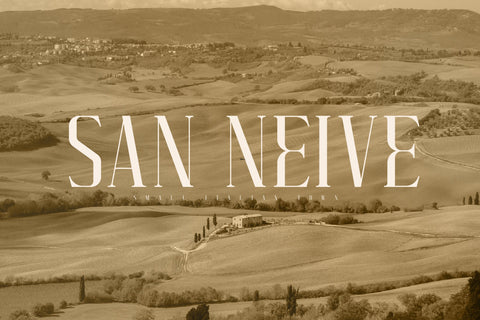 VELAZQUEZ Typeface Font Storytype Studio 