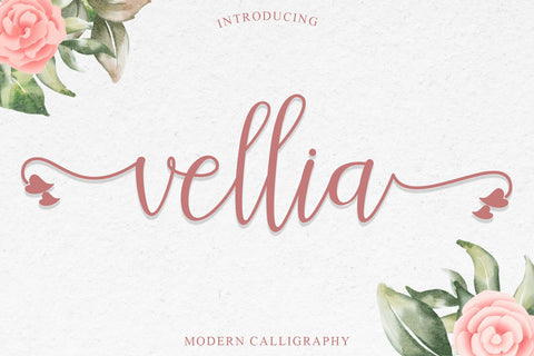 Vellia Font Endri Sulistyawan 
