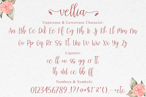 Vellia Font Endri Sulistyawan 