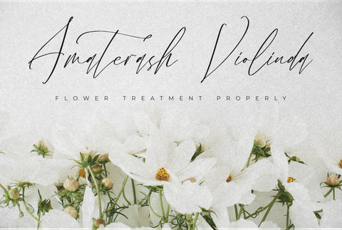 Velodicals Holysmith - Luxury Script Font Font Storytype Studio 