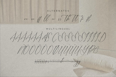 Velodicals Holysmith - Luxury Script Font Font Storytype Studio 