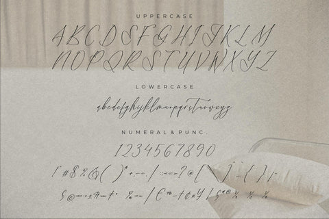 Velodicals Holysmith - Luxury Script Font Font Storytype Studio 